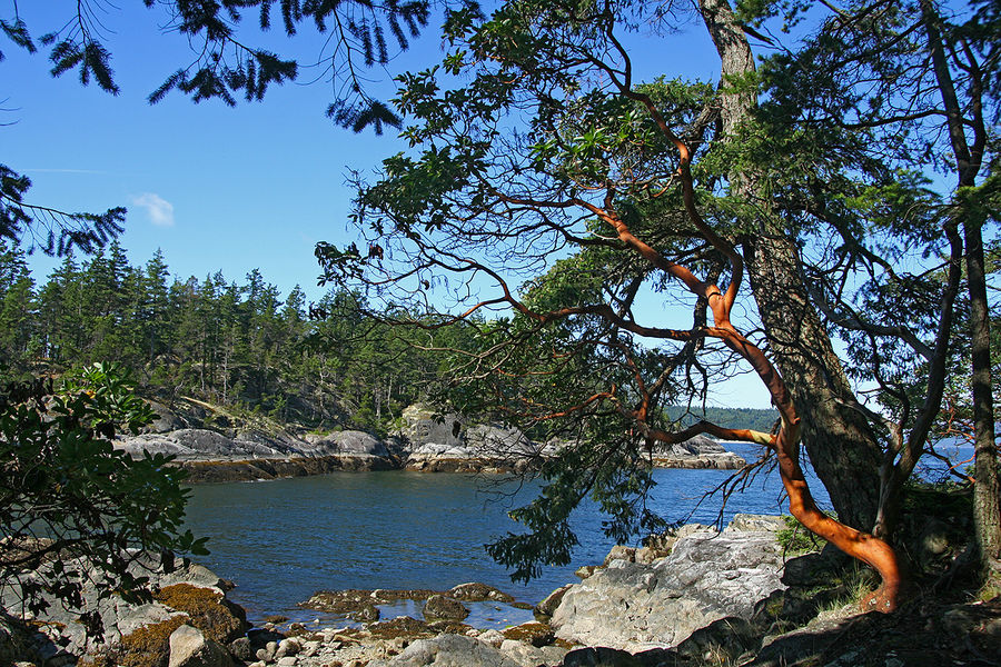 Smuggler Cove, Sunshine Coast BC