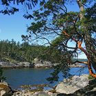 Smuggler Cove, Sunshine Coast BC