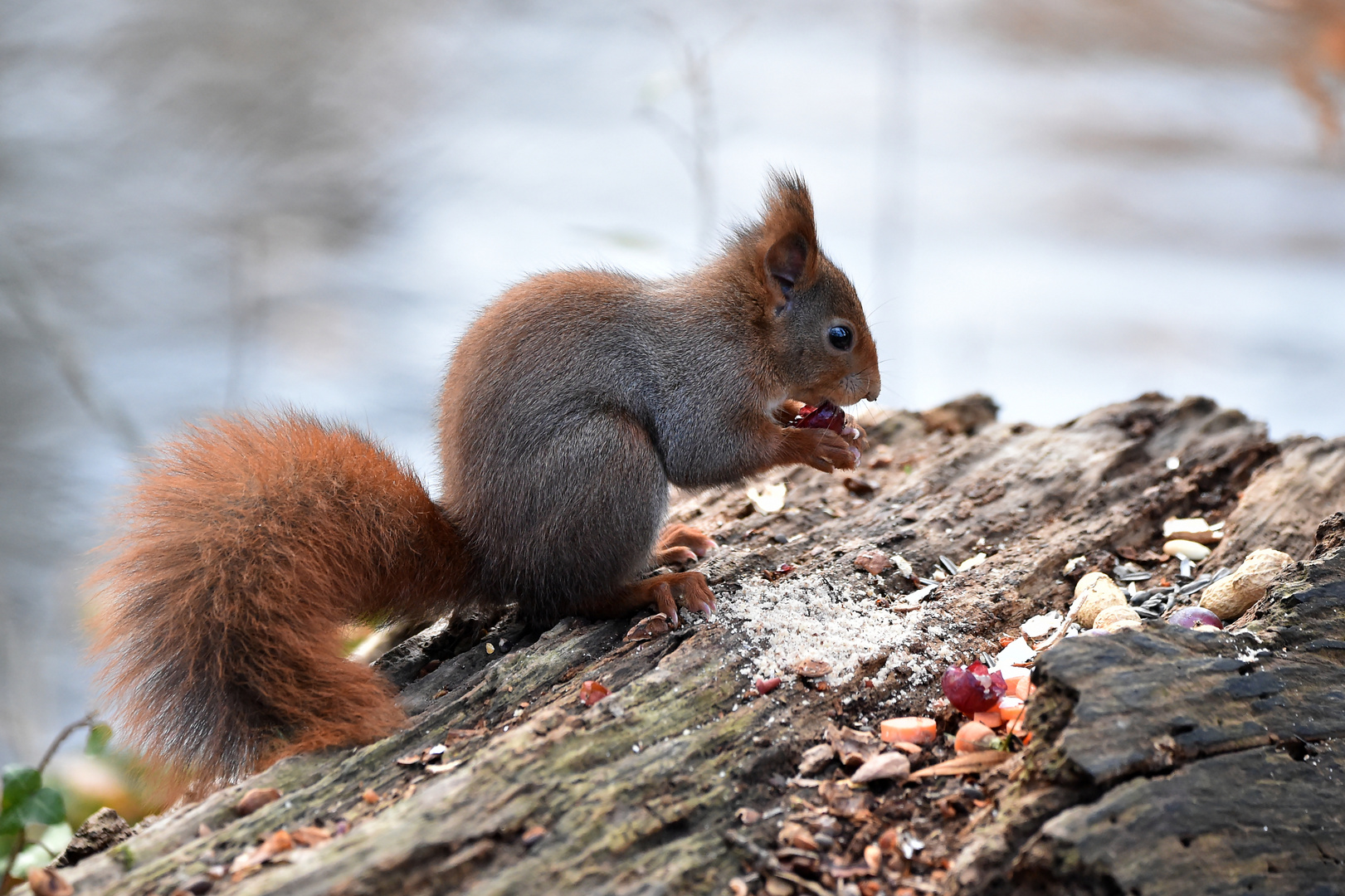 Snack am See