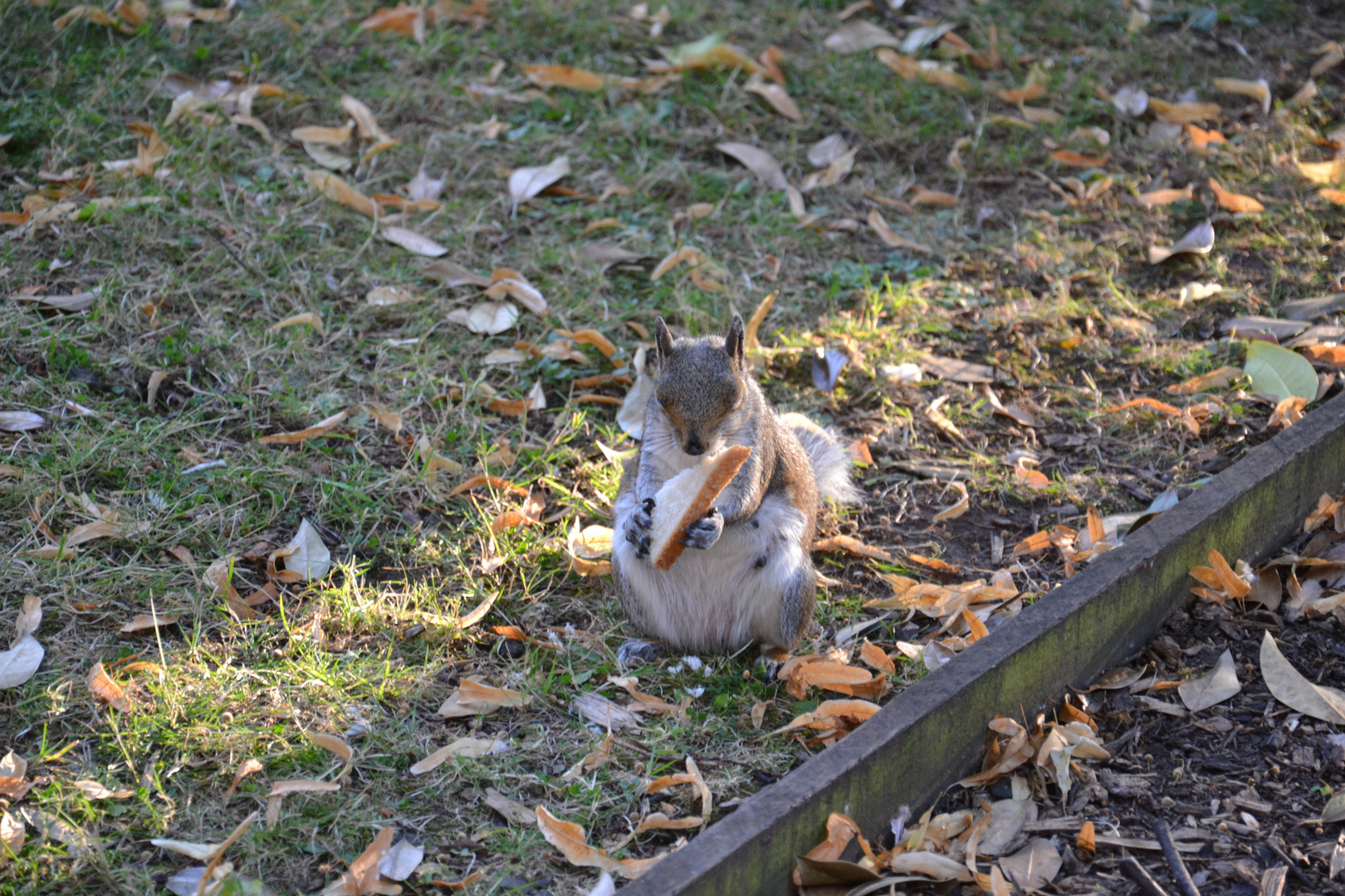 Snack break