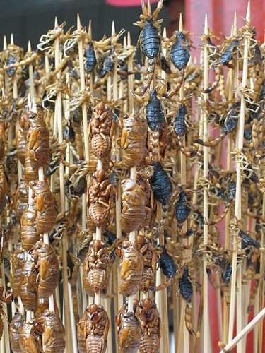 Snack für den kleinen Hunger zwischendurch