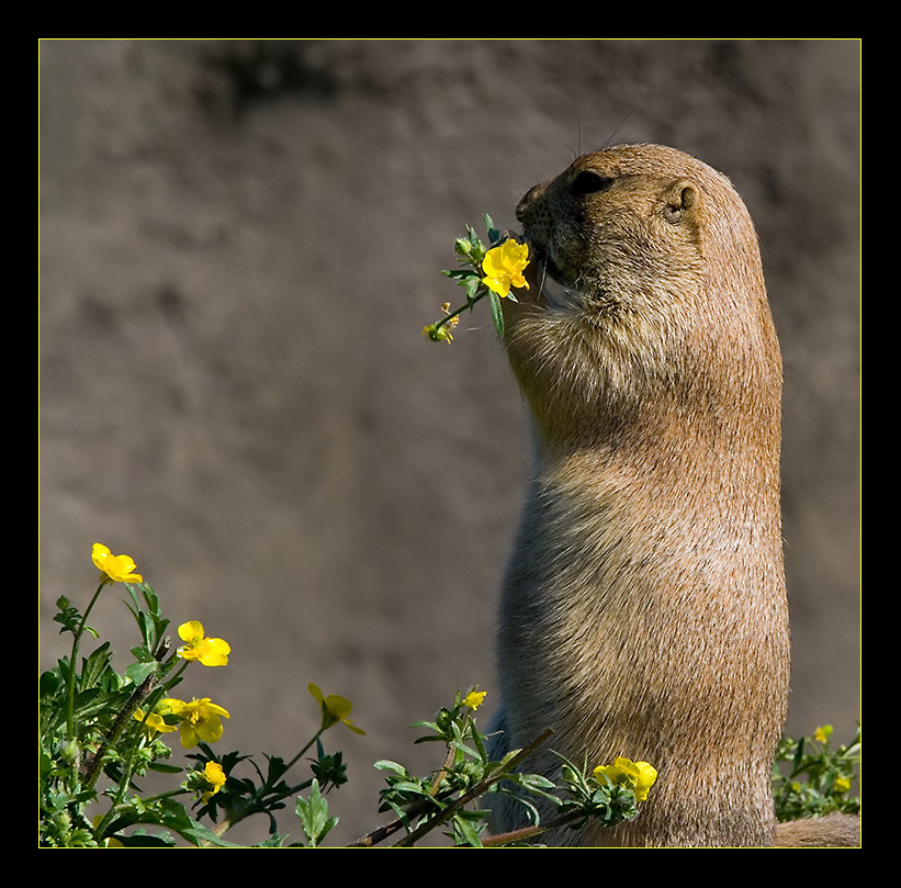 Snack time...