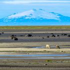 Snaefellness iceland