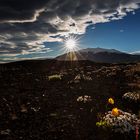 Snäfellsjökull