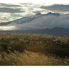 Snaefellsjökull - Island