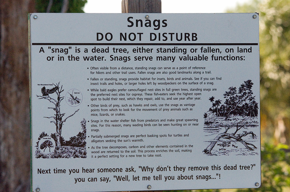 Snags - DO NOT DISTURB