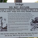 Snags - DO NOT DISTURB