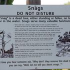 Snags - DO NOT DISTURB