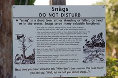 Snags - DO NOT DISTURB