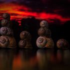 Snail City skyline