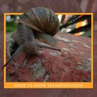 SNAIL DOOR TO DOOR TRANSPORT