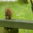 Snak am Nachmittag