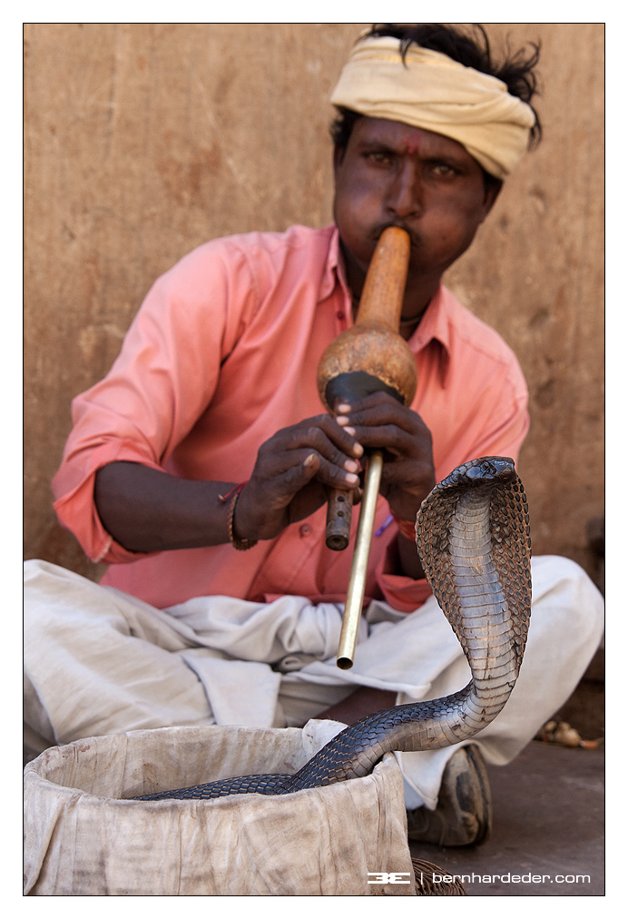 "snake charmer"