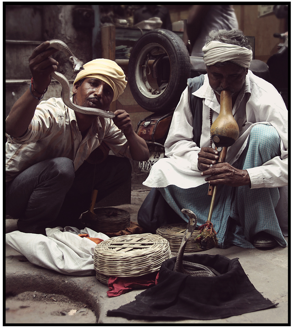 Snake Charmer in Old-Delhi