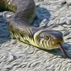 Snake (Digitale Malerei)