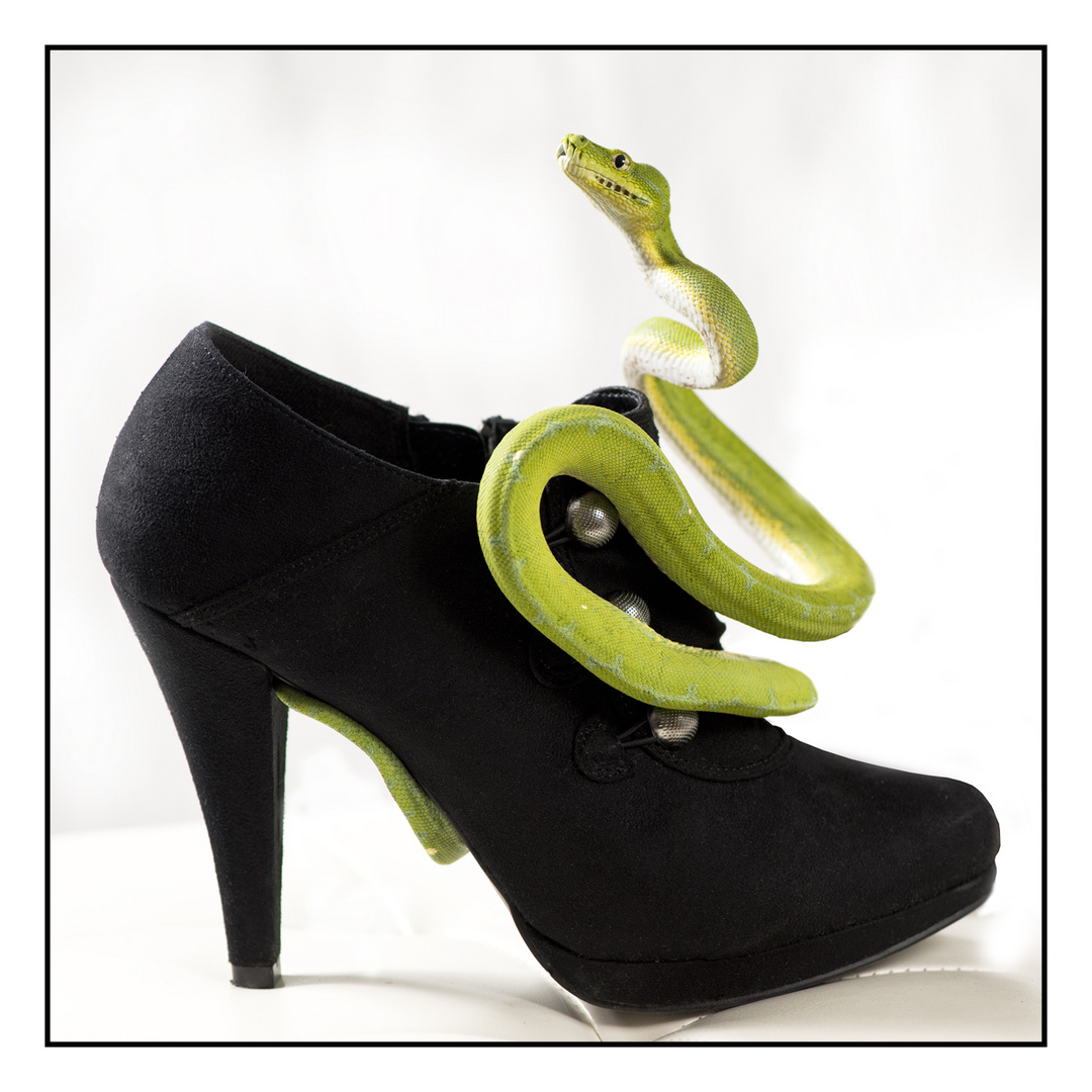 Snake on a High Heel