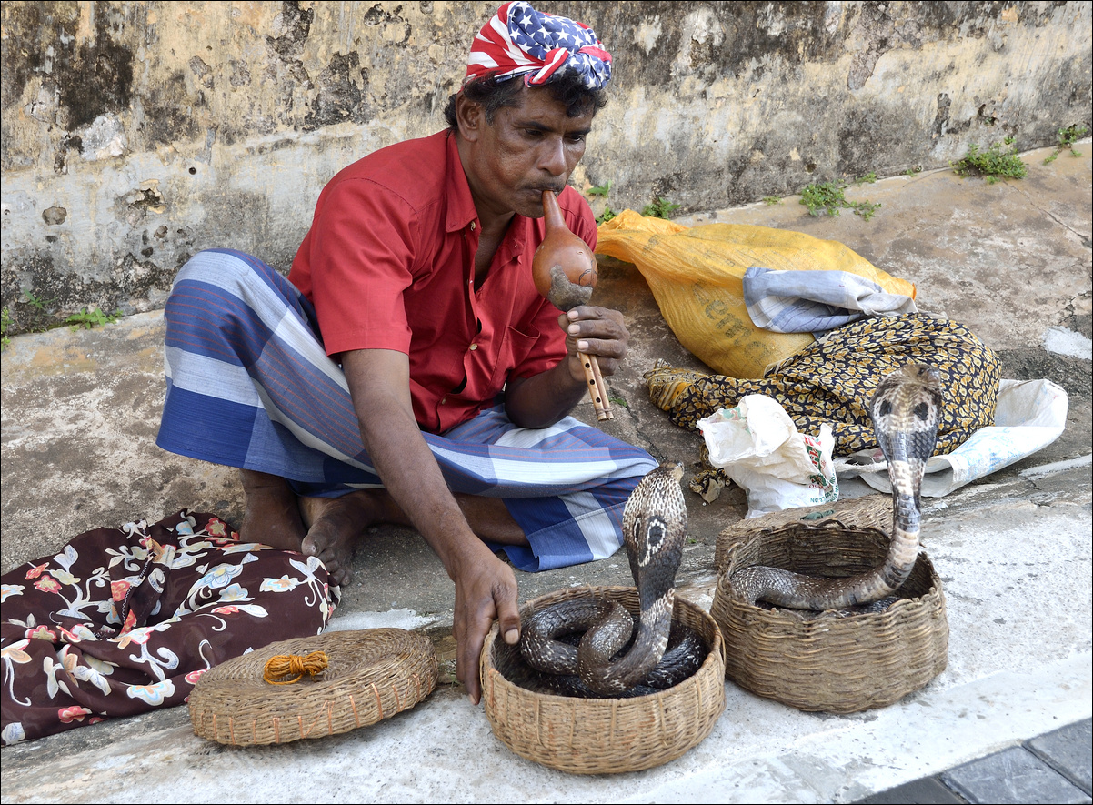 Snakecharmer