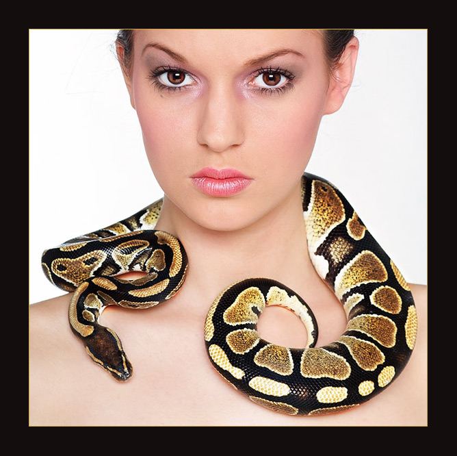 **SnakeCollier**