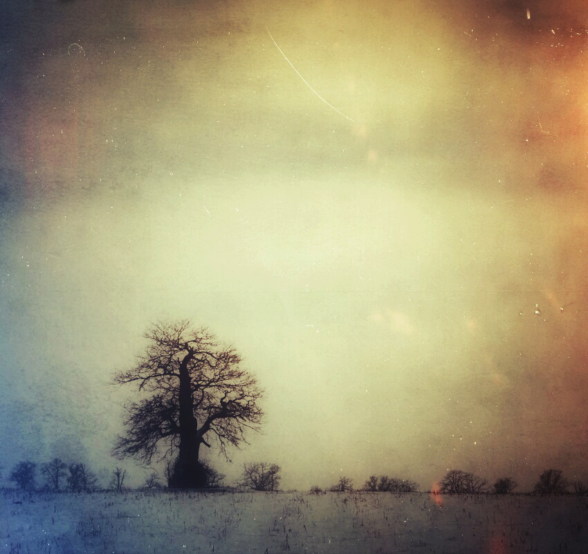 Snapseed-Winter (1)