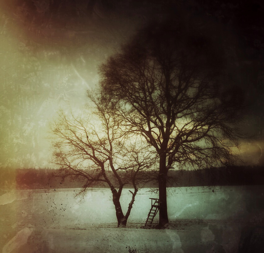 Snapseed-Winter (2)