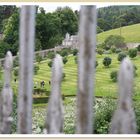 Sneak view upon Blair Atholl's formal Walled Garden