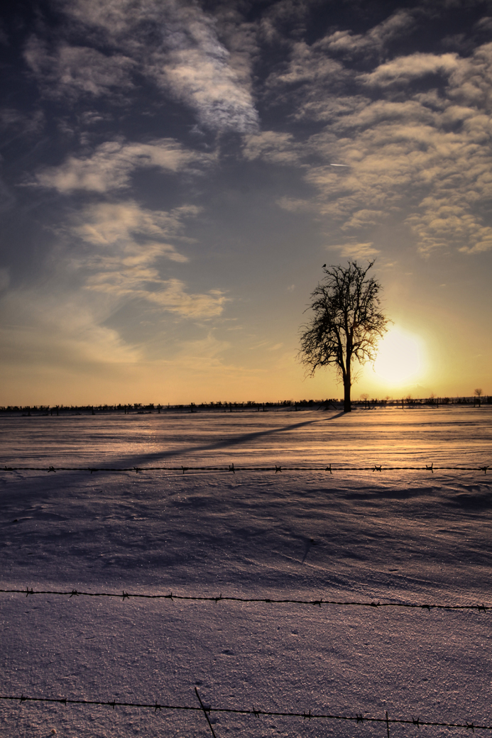 Sneeuw in Holland