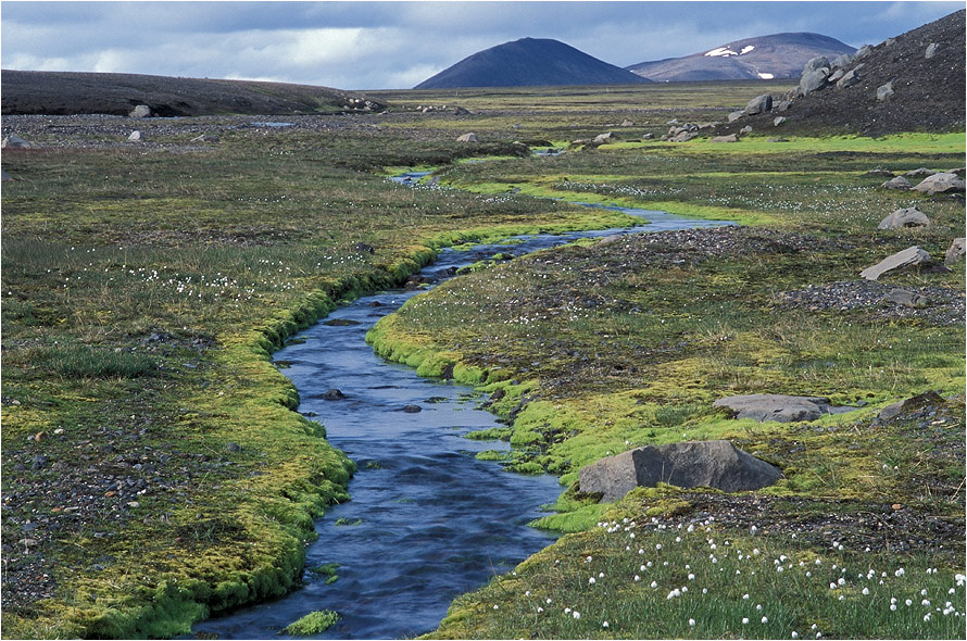 [ Snæfell ]