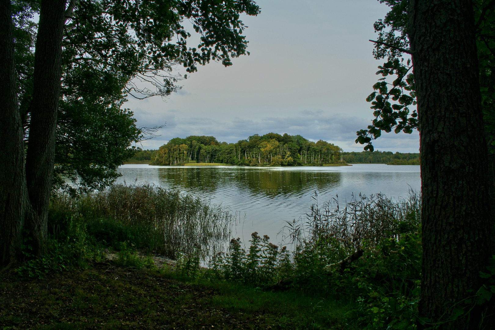 Snogeholmssjön - 2016 (2)