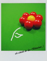 Snooker-Blümchen