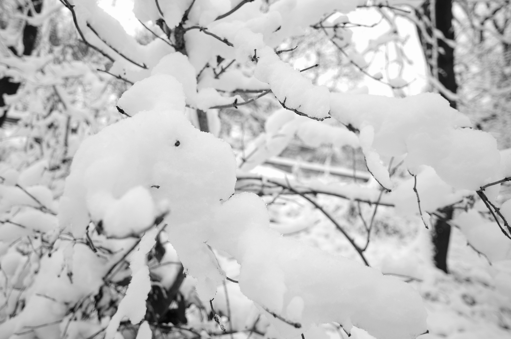 Snoopy hängt im Schnee ab