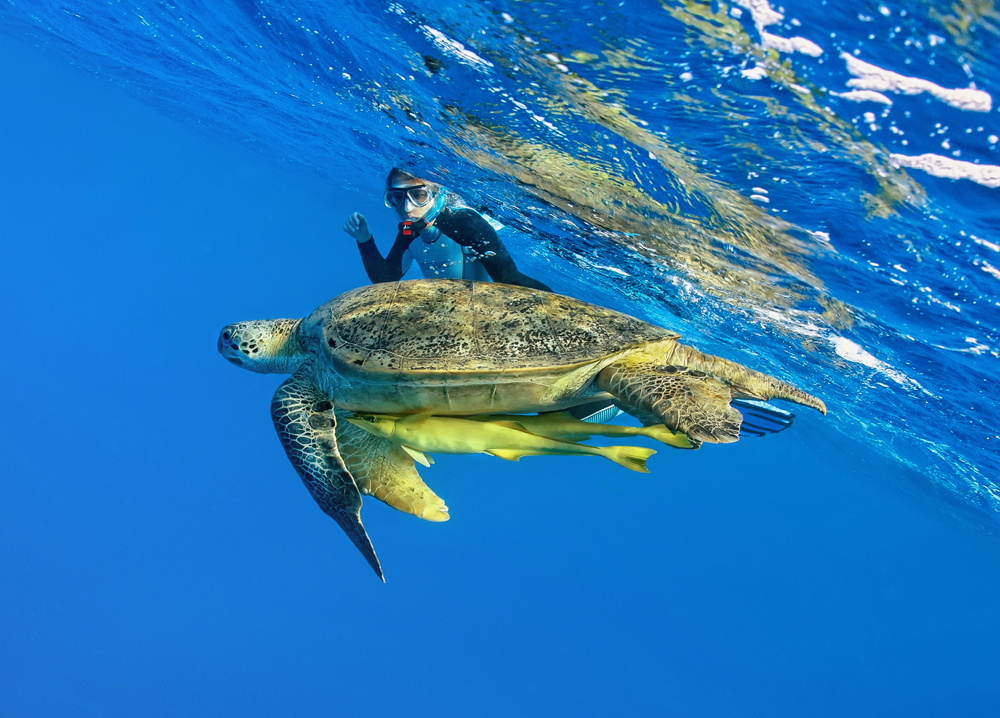 Snorkeling