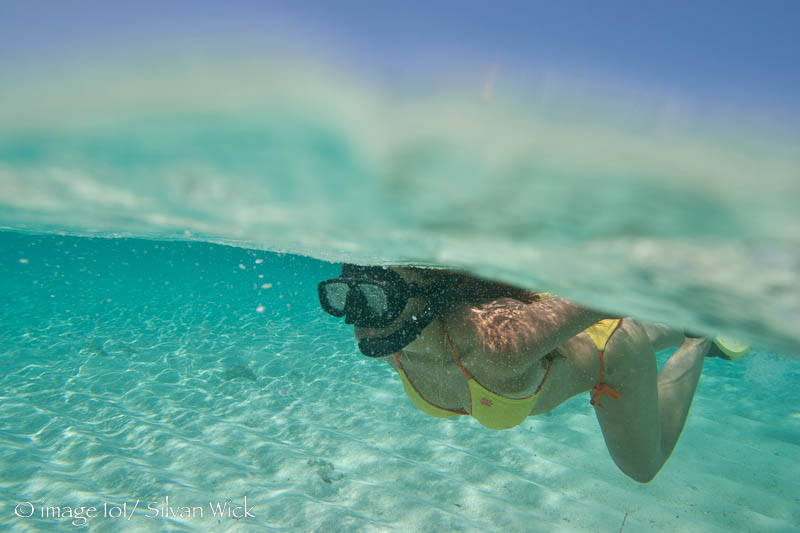 Snorkeling