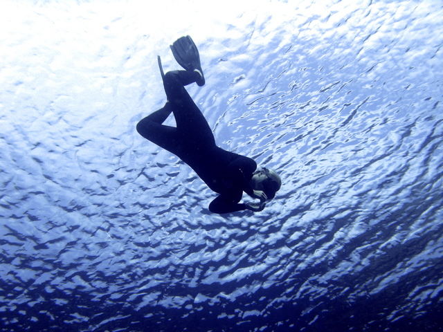 snorkling in the sun