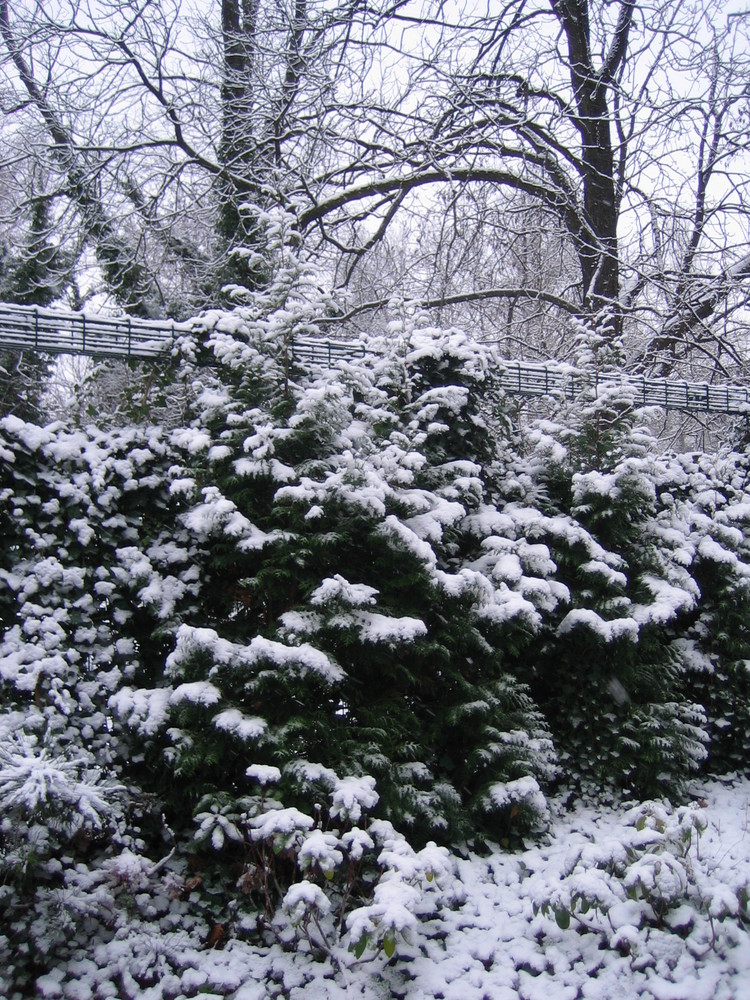 SNOW 2008