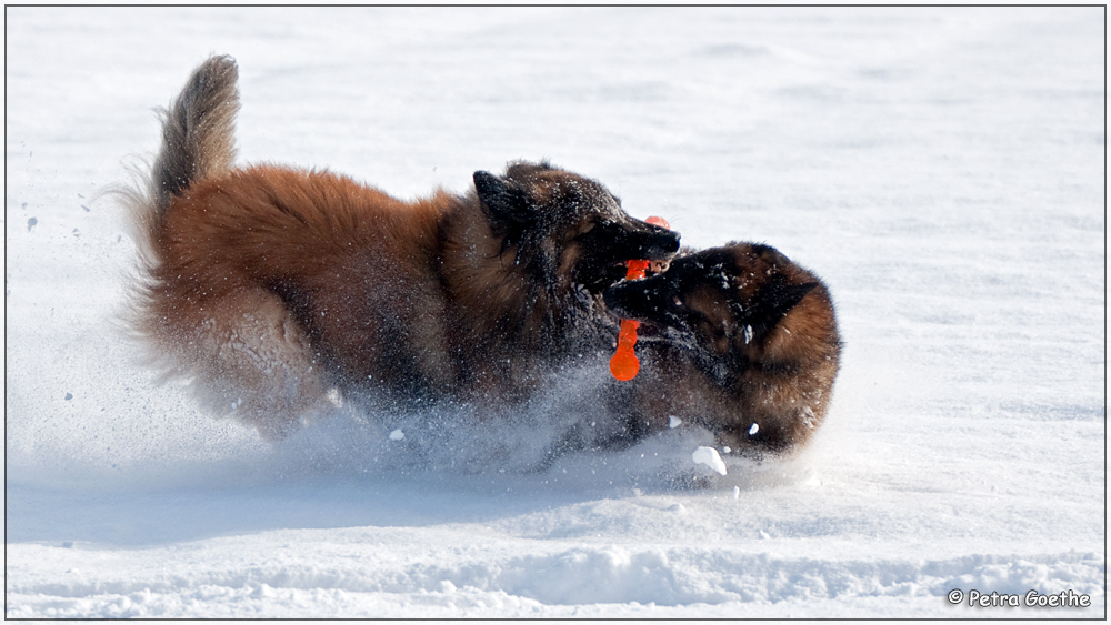 Snow action