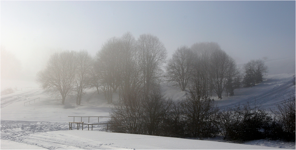 snow and fog ( c )