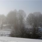 snow and fog ( c )