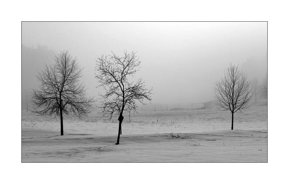 snow and fog