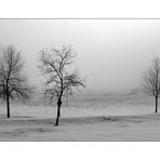 snow and fog