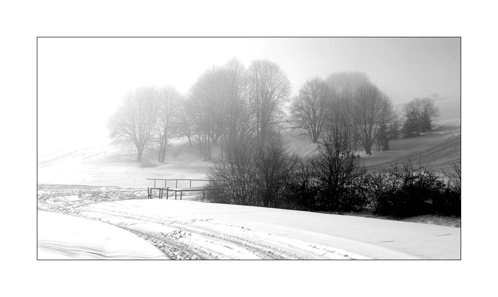 snow and fog I