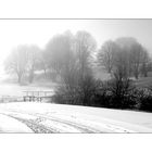 snow and fog I