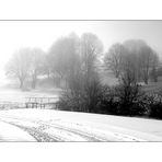 snow and fog I