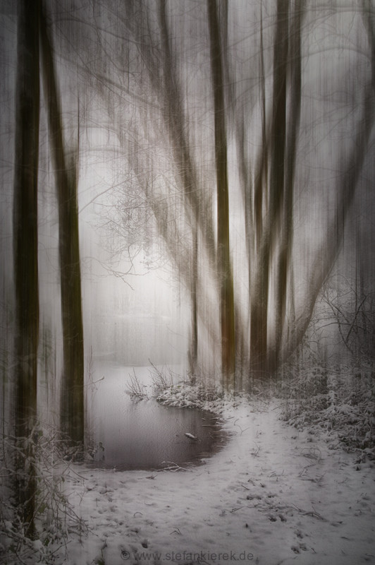 Snow and fog on the shore