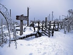 Snow And Path !