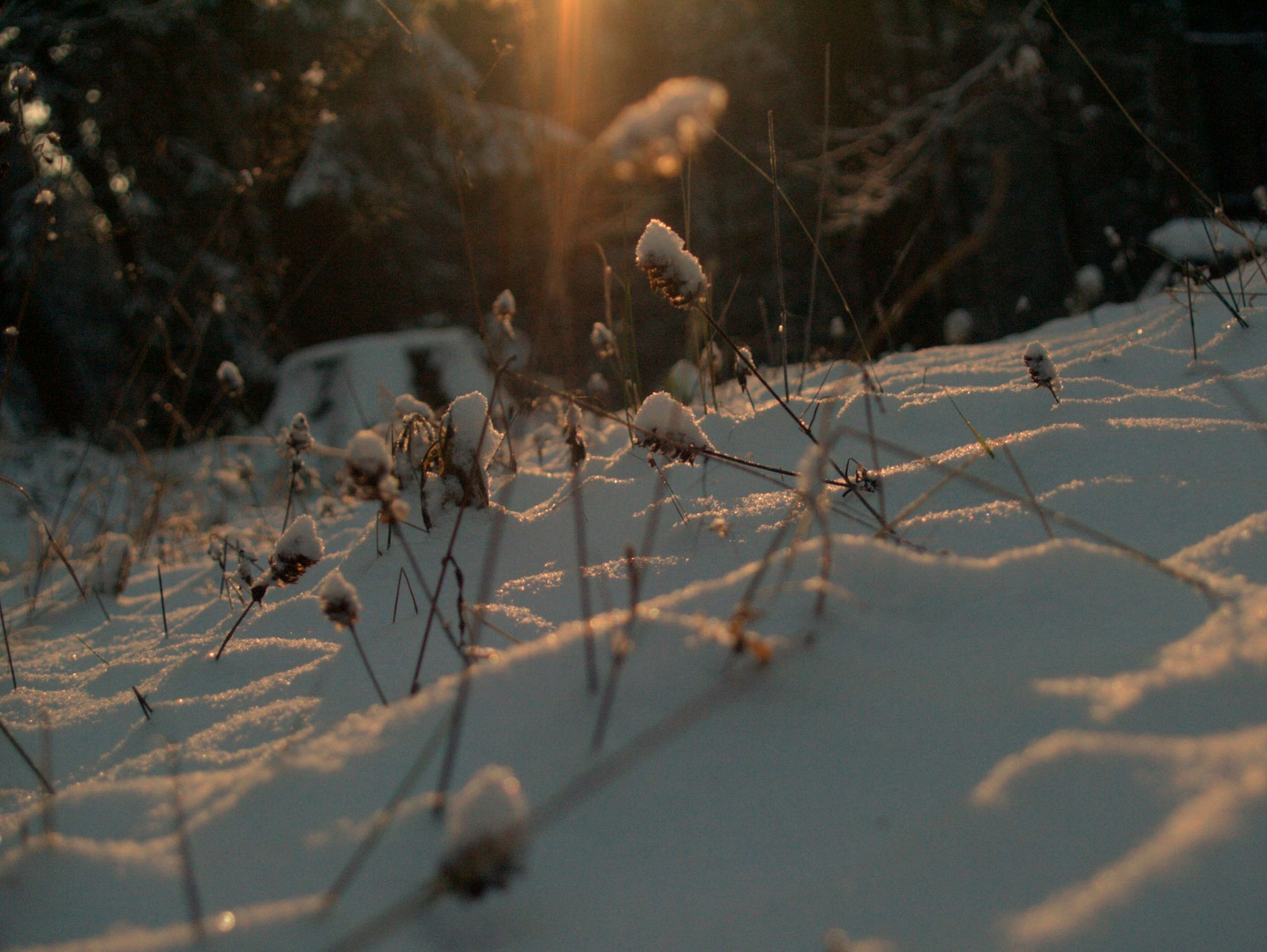 snow and sun 2