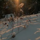 snow and sun 2