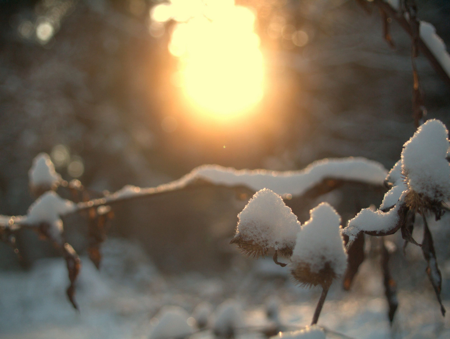 snow and sun