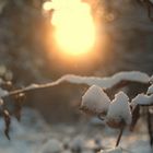 snow and sun