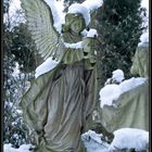 snow-angel.