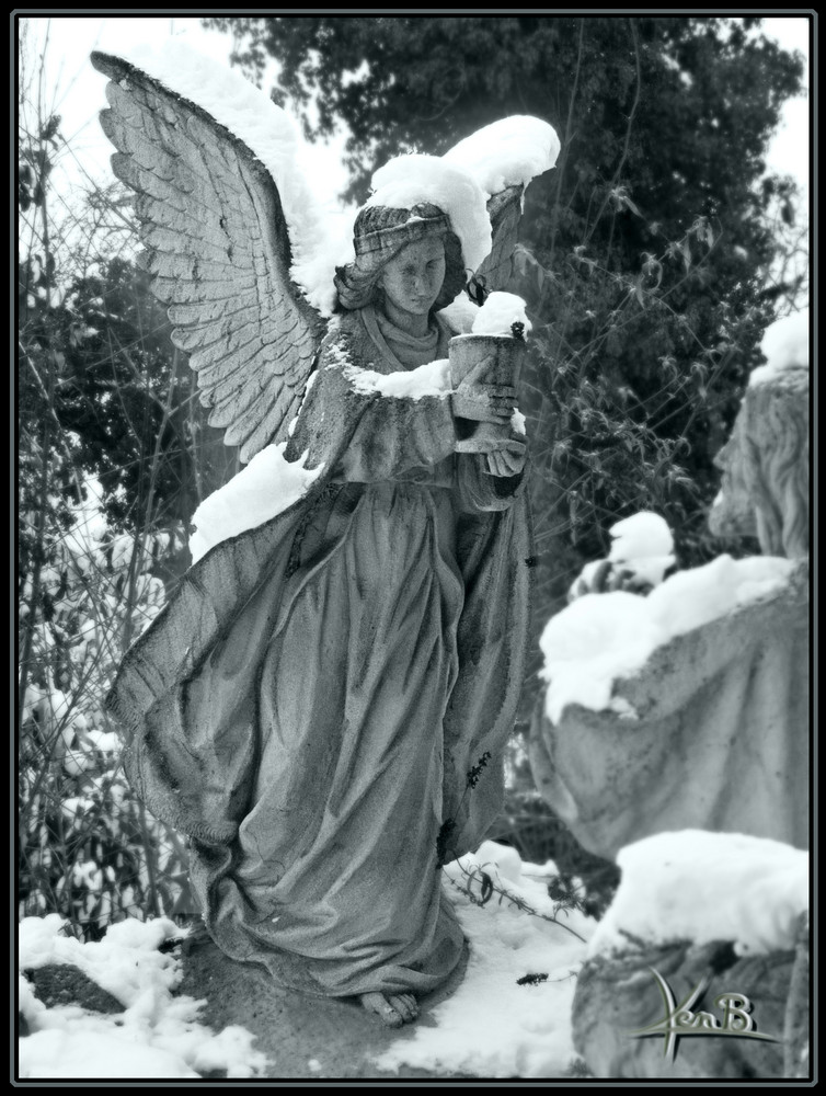 snow-angel. sw